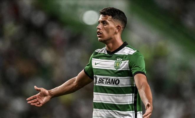 她们有望取 她们有望取